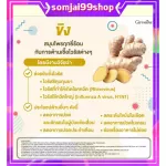เครื่องดื่ม ขิง ผงสำเร็จรูป กิฟฟารีน ต้าน.ไวรัส ขับลม จุกเสียด ระบบไหลเวียนโลหิต