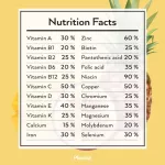 No.1 Plantae Lean Fast Protein รส Tropical Blend 1 กระปุก :  Plant Protein L-carnitine โปรตีนพืช วีแกน แคลต่ำ เผาผลาญไว วีแกน 1 กระปุก 500g