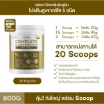 No.1 Plantae Complete Plant Protein รส โฮจิฉะ 1 กระปุก: ชาเขียว โปรตีนพืช โปรตีนสูง สร้างกล้ามเนื้อ คีโต วีแกน Whey Non Dairy Hojicha เซ็ท 1 กระปุก