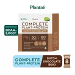 No.1 PLANTAE Complete Plant Protein 1 box of Dutch chocolate: PLANT Protein, high protein protein, Wigan Whey, Dutch Chocolate, 1 box