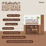 No.1 Plantae Set รส ดัชท์ ช็อกโกแลต 2 กล่อง แถมโปรตีน 3 ซอง : Plant Based โปรตีนพืช เสริมสร้างกล้ามเนื้อ แถมโปรตีน 3 ซอง