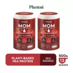 No.1 PLANTAE: MOM Protein 2 bottles, Red Berries Plant Protein, Plant protein for mothers, adding and stimulating weight, weight loss, red berries, 2 bottles.