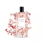 Bear Dubse Perfum - Grand Teacher Somiyosino (100ml)