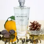 น้ำหอม Burberry Touch for Men EDT 100 ml