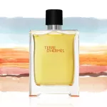 น้ำหอม HERMES TERRE D HERMES EDT 100ml tester