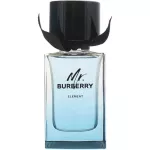 MR. Burberry Element EDT for Men 150ml perfume