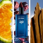 น้ำหอม Davidoff Cool Water Street Fighter Champion Summer Edition For Him 125ml