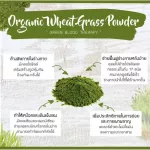 Organic Seeds ผงต้นอ่อนข้าวสาลี 50 กรัม - 1 กิโลกรัม Superfood