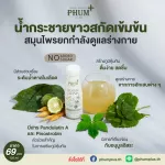 Phum+ น้ำกระชายขาวสกัด ผสมสมุนไพร และวิตามิน X 12