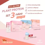 SoulSis Plant Protein, 3 -box pro before/after exercise Replace weight loss meals, build muscle, lean, fat
