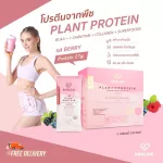 SoulSis Plant Protein Protein Berry Flavored Line Fat muscles before/after exercise Replace weight loss meals