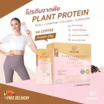 SoulSis Plant Protein, a coffee protein, adding muscle, lean, fat before-after exercise Or replace meals