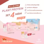 SoulSis Plant Protein, 4 -box protein protein before/after exercise Replace weight loss meals, build muscle, lean, fat