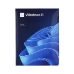 OS Microsoft Windows 11 Pro Eng / 64 bit / FPP / USB / HAV-00163