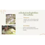 Special price only 4 days only 4-7 May 65. Buy 2 get 2 free vegetables and fruits. Fruit & Veggie Wash 300 ml.