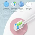 LAHOME KCB DS01 แปรงสีฟันไฟฟ้าแบบชาร์จไฟได้  แปรงสีฟันไฟฟ้าแบบสั่นอัลตราโซนิกแปรงสีฟัน ขจัดคราบฟัน 10 เท่ากำจัดแบคทีเรีย