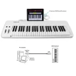 Midiplus Easy Piano Piano Fah / Digital Piano 49 Key + Free Bag & USB Cable ** 1 year Insurance **