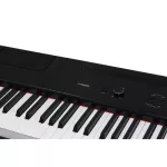 Artesia PA-88H Digital Piano Piano 88 Digital Electric Piano + Artsia & Piano Pandan & Pedal Pandle
