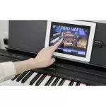 Yama ® NP-12 Piano Piano, Digital Piano 61 Key + Free Sticks & Adapter & Wang Key Note ** 1 year Insurance ** 66 Keys Digital Electric Piano