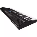 Roland® Go-Piano 61 Piano Piano, Digital Piano 61 Key + Note & Foot Switch 1 Keyboard, Black * 1 year Insurance **