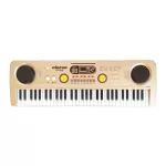 Bigfun 61 digital piano buttons Digital music keyboard Can connect to the iPad MP3 mobile phone with a microphone