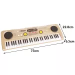 Bigfun 61 digital piano buttons Digital music keyboard Can connect to the iPad MP3 mobile phone with a microphone