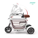 Yidi Dudu3 Electric bike, Scooter, Tricycrium with baskets