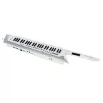 Roland® AX-Edge Keytar คีย์บอร์ดสะพาย คีย์บอร์ดซินธีไซเซอร์ รูปทรงกีตาร์ 49 คีย์ มีแอปพลิเคชั่นให้ปรับแต่งเสียง เชื่อมต่อบลูทูธได้ + แถมฟรีอแดปเตอร์ &