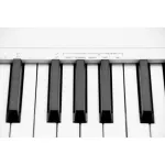 Midiplus Easy Piano Piano Fa / Digital Piano 49 Electric Piano 49 Keys + Free Foot Switch Keyboard & Adapter & USB ** 1 year Insurance **