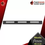 A Arturia Microlab Midi Keyboard 25 Keys, some key players, easy to play, easy to carry, can connect the USB with free gifts - Red turtle