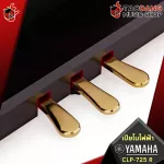 Yamaha CLP725 blue piano, Dark Rosewood - CLP -725 [Free gift] [Center insurance] [100%authentic] [Free handbook] [Free delivery] Red turtle