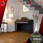 Yamaha CLP725 blue piano, Dark Rosewood - CLP -725 [Free gift] [Center insurance] [100%authentic] [Free handbook] [Free delivery] Red turtle