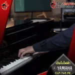 Yamaha CHA CHA CHA CHA CLP745 Dark Rosewood CLP-745 color [Free gift] [Center insurance] [100%authentic] [Free handbook] [Free delivery] Red turtle