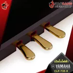 Yamaha CHA CLP735 color piano, Dark Rosewood CLP-735 [Free free gift] [Center insurance] [100%authentic] [Free handbook] [Free delivery] Red turtle