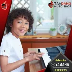 [Bangkok & Metropolitan Region Send Grab Quick] Keyboard Yamaha Psre273 + Full Option [Free gifts] [with check QC] [100%authentic from zero] [Free delivery] Red turtle
