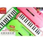 1 free set, sticker, stainless steel, pink, green, Forte Melodian 32, Melodian Melodian Melodian
