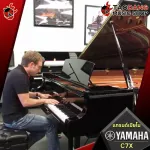 [Bangkok & Metropolitan Region Send Grab Quick] Piano Yamaha C7X POLISHED EBONY color [free free gift] [with checking QC] [100%authentic from zero] [Free delivery] Red turtle