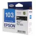 EPSON Ink Cartridge T103190 BK