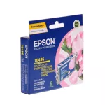 EPSON Ink Cartridge T0495 LM