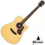 Mantic AG-370C, 40-inch guitar, Dreadnough shape, concave neck, spruce/mahogany coated + free bag & kapok