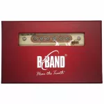 B-Band Pickle Pickle Pickle Garden is well installed in the M2 Body Taking Body Sound, Passive Soundhole Pickup.