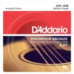 D'Addario® สายกีตาร์โปร่ง เบอร์ 13 แบบ Phosphor Bronze ของแท้ 100% รุ่น EJ17 Medium, 13-56 ** Made in USA **
