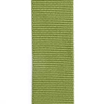 D'Addario® สายสะพายกีตาร์โปร่ง / สายสะพายกีตาร์ไฟฟ้า / สายสะพายกีตาร์เบส กว้าง 2 นิ้ว รุ่น Core Polypropylene Guitar Strap