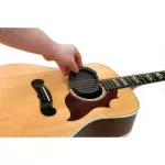 D'Addario® ซาว์ดโฮลป้องกันเสียงหอนของกีตาร์/ที่ปิดช่องเสียงกีตาร์ อย่างดี รุ่น PW-SH-01 Made in USA