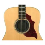 D'Addario® Sound Hollyproof Sound of Guitar/Good guitar audio, PW-Sh-01 Made in USA