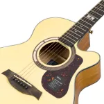 Mantic GT-1AC, 40-inch guitar, Dreadnought Cutaway, Angel Mandrus/Cherry Wood + Free Bag & Jun