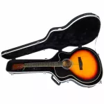 Paramount เคสกีตาร์โปร่ง ทรงจัมโบ้ รุ่น WC450JB กล่องใส่กีตาร์จัมโบ้, Guitar Hard Case