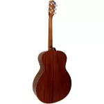 Mantic GT-10G, 41 inch GRAND AUDITORIUM shape, tops, tops, rosewood/cherry wood + free bags & kapat & pickings & wipes