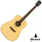 MANTIC AG-370, airy guitar, 40 inches, Dreadnough shape, Sprueus/Mahokani coated + free bag & tuner & kapo & set