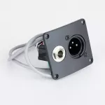 FishMan® Presys Pickle Guitar Side installation form There is a 1/4 jack and Jack PSY-401 Presys Onboard Preamp Pickup System.